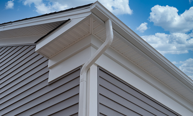 Gutters / Soffit / Fascia - Wise Guys Construction Chicagoland